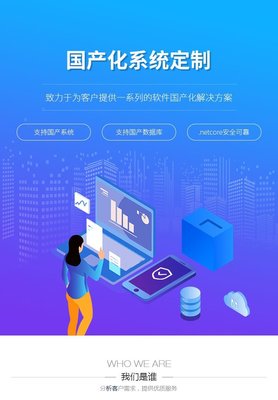 國產化系統定制企業政務OA辦公ERP軟件適配麒麟操作系統數據庫 析客網絡的商城系統開發